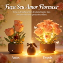 BloomyRose™ - Uma Forma Mágica de dizer "Eu Te Amo" 🌹❤️